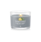 Preview: Yankee Candle Black Tea & Lemon Glasvotivkerze 37g