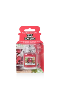 Yankee Candle Red Raspberry Car Jar Ultimate 30 g