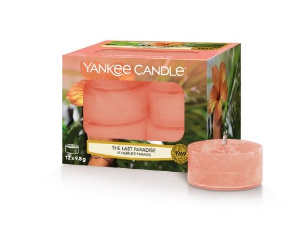 Yankee Candle The Last Paradise Teelichte 118 g
