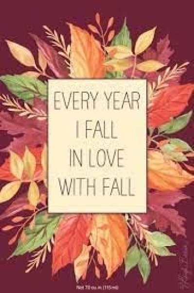 Willowbrook Fresh Scents -Duftsachet - Every Year I Fall in Love with Fall Willowbrook Fresh Scents -Duftsachet - Every Year I Fall in Love with Fall